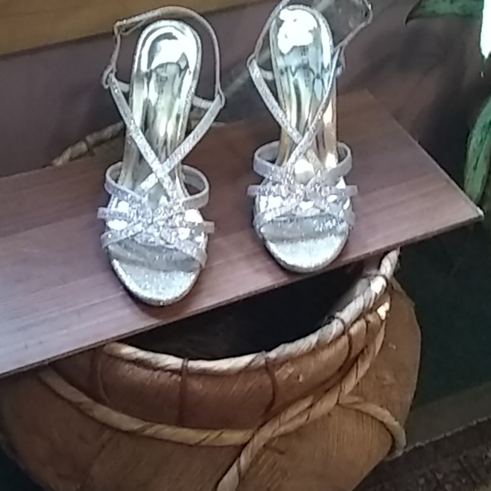 Silvery mesh well loved high heel